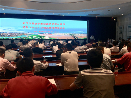 特色（生态）小镇高峰技术交流会成功举办